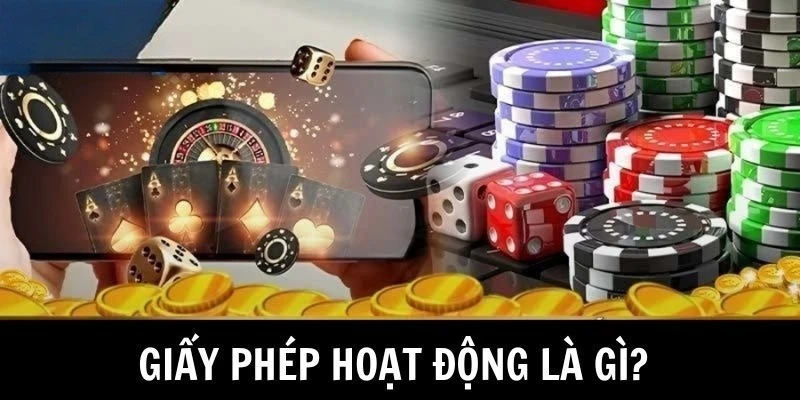 Quy trình cấp giấy phép hoạt động