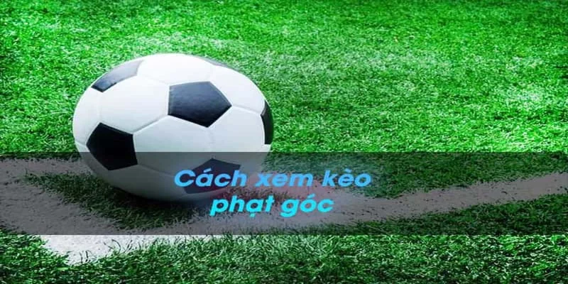 Kèo phạt góc tỷ lệ kèo chính xác nhất và nhanh nhất